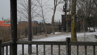 20160312DSCN2739