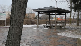 20160312DSCN2740