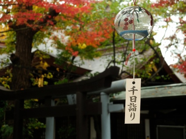 20161128DSCN0673-1