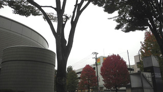 20171013DSCN8541