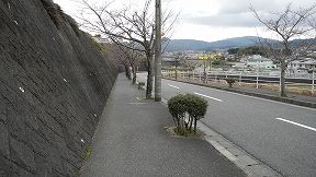 ksbDSCN2609.jpg