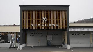 20151111DSCN8986.jpg