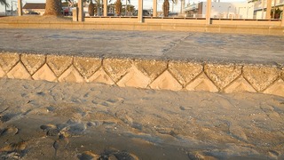 20170131DSCN8669