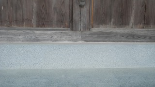 20170320DSCN0498