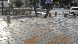 20160312DSCN2746