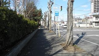 20151111DSCN8603.jpg