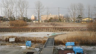20160312DSCN2763