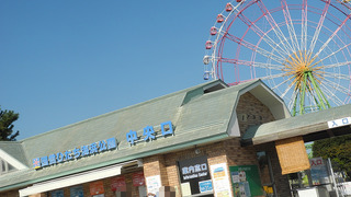 20161207DSCN0005