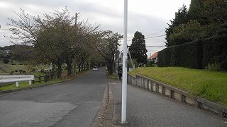 20151006DSCN9710.jpg
