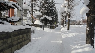 20160109DSCN0921