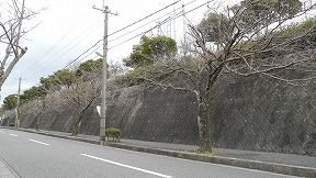 ksbDSCN2607.jpg