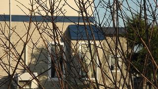 20151111DSCN8776.jpg