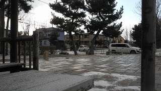 20160312DSCN2741