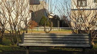 20151111DSCN8775.jpg