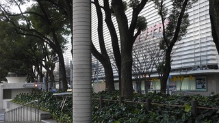 20160101DSCN0384
