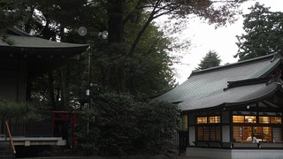 20161103DSCN9256
