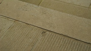 20161128DSCN0654