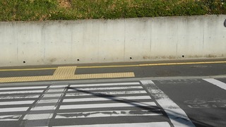 20161229DSCN1543