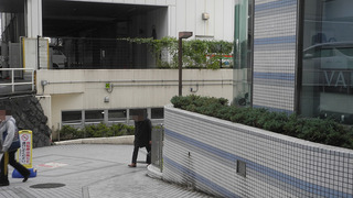 20161119DSCN0096