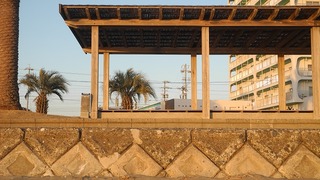 20170131DSCN8663