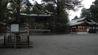 20161103DSCN9255