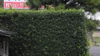 20150925DSCN1597.jpg