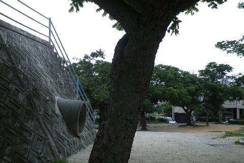 20120513_025.jpg