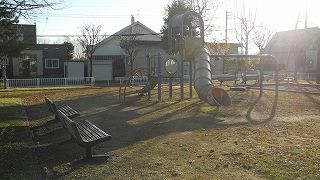 20151111DSCN8772.jpg