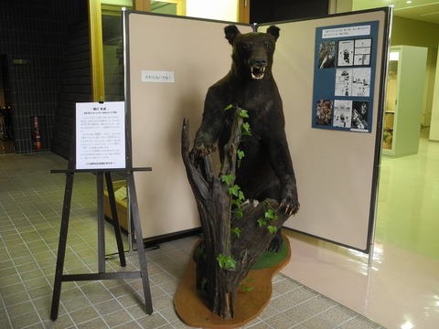 20160312DSCN2707