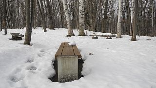 20151213DSCN9479.jpg