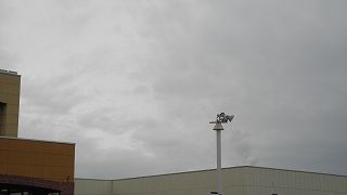 20151111DSCN8902.jpg