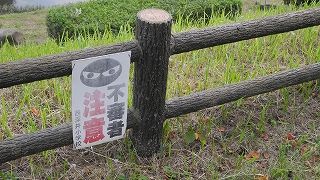 20151006DSCN9736.jpg