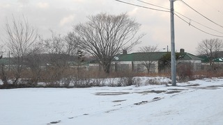 20160118DSCN2149