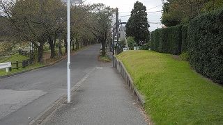 20151006DSCN9714.jpg