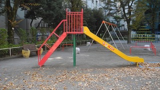 20161117DSCN9836