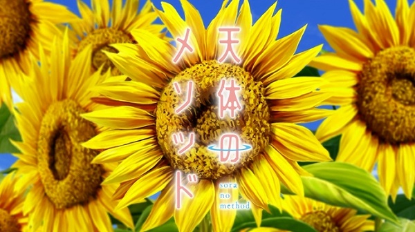 fd2667ca.jpg