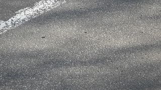 20151111DSCN8610.jpg