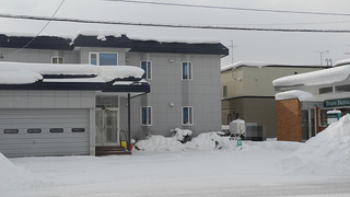 20160109DSCN0877