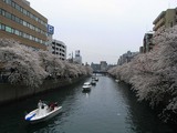 090405_1_�粬��ָ�