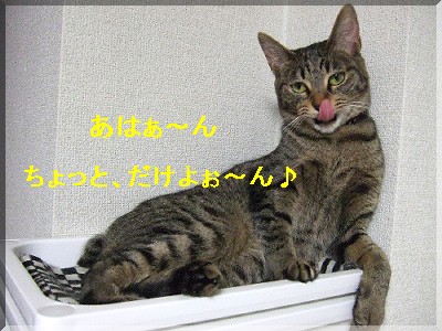 Éݤ¤¡¦¡¦¡£