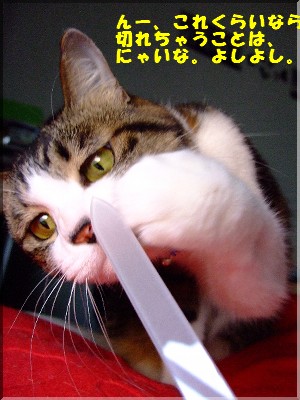 ¥Á¥§¥Ã¥¯Ãæ