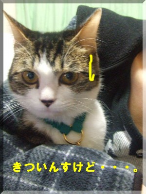 ¥¥Ä¥¤¤ó¤¹¤±¤É¡¦¡¦¡¦¡¦