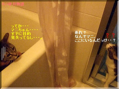 ¤Û¤¨¡¦¡¦¡¦¡¦¡¦¡©¡©¡©