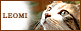 �̣ţϣͣ�