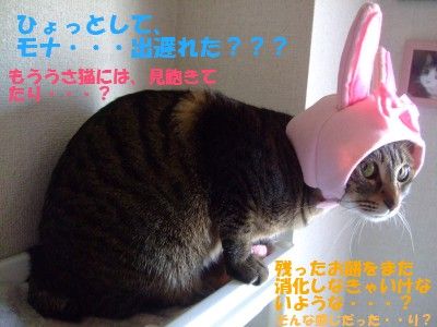 DSCF7019