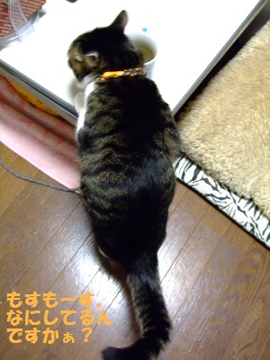 DSCF5886