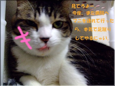 ¤Æ¤á¤§¤§¤§¤§¤§¤§¡ª¡ªÅÜ