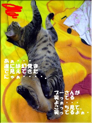¤¢¤Â¤£¤Ê¤¡£´