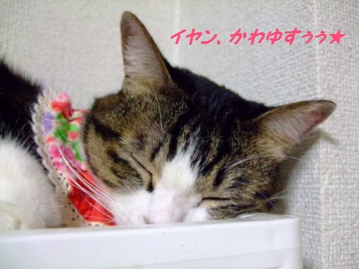 DSCF40571