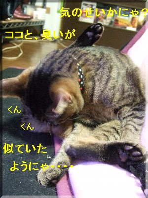 ¤Ê¤ó¤«¡¢¤Ê¤ó¤«¡¦¡¦¡¦¡¦